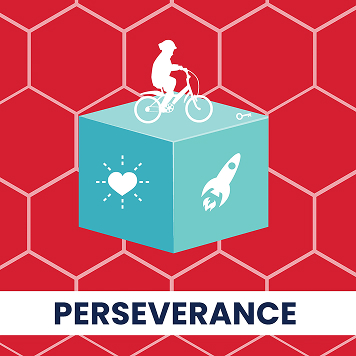 Perseverance